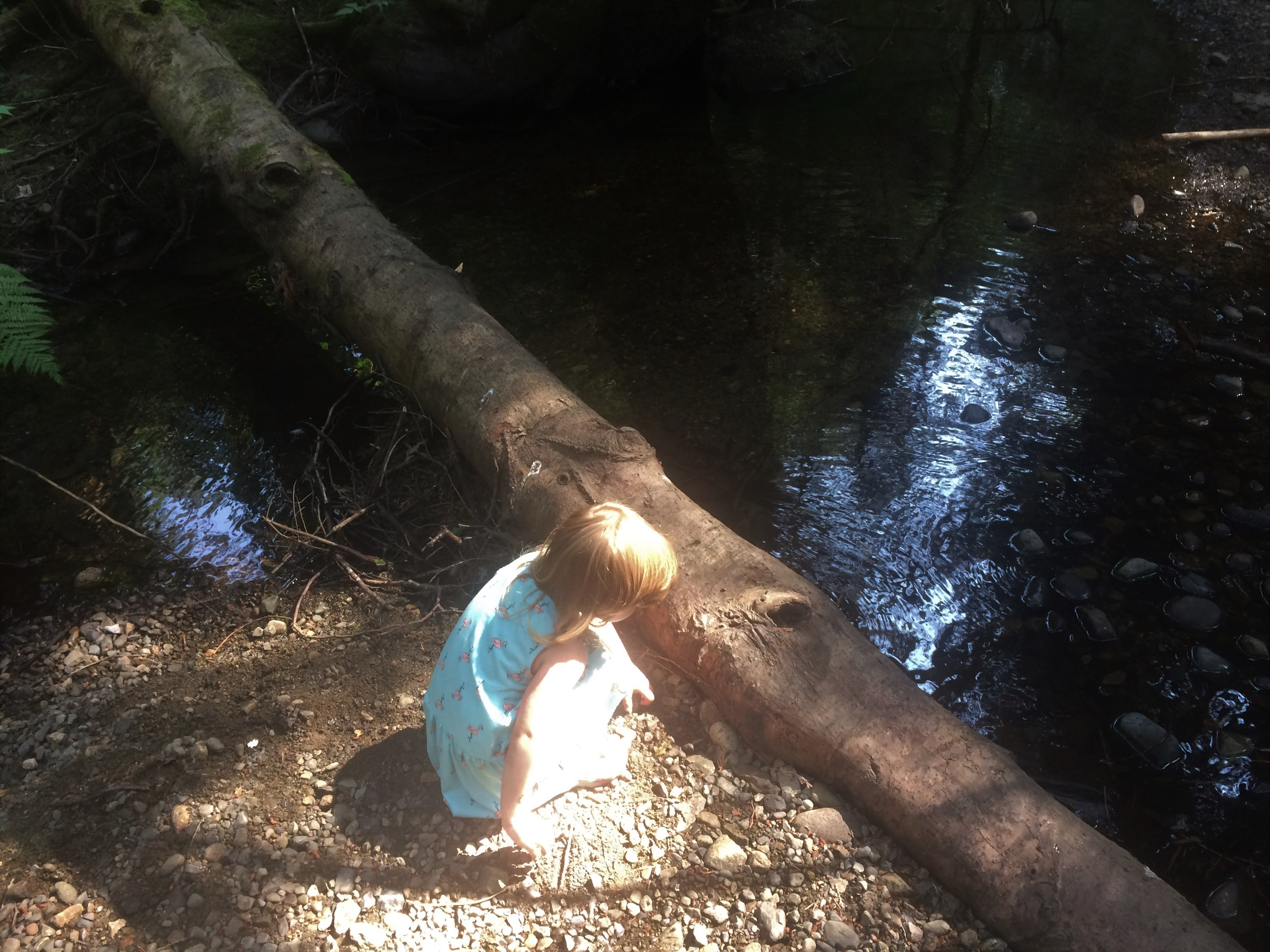 The Essence of Summer