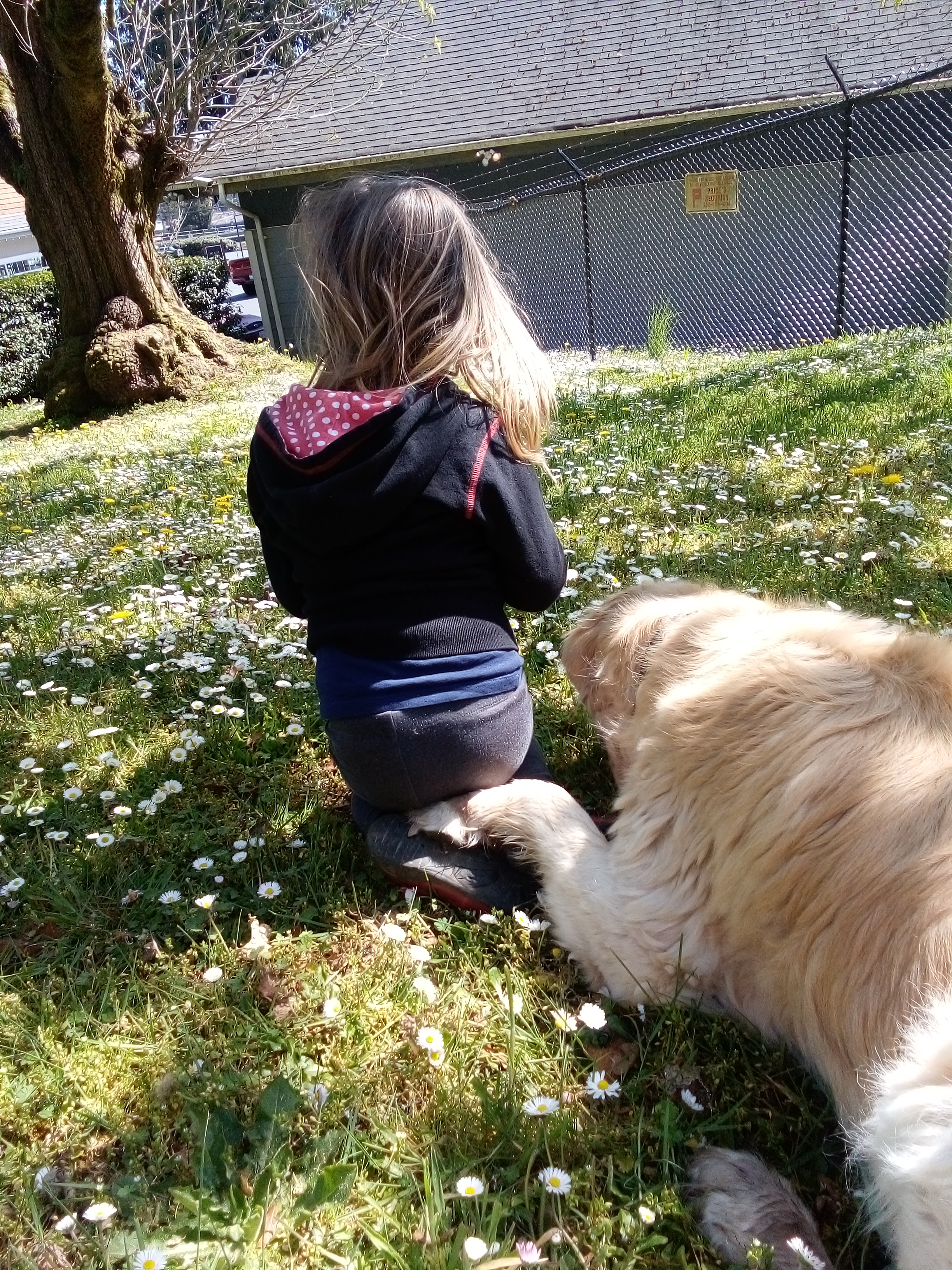 A Little Bit of Sunshine