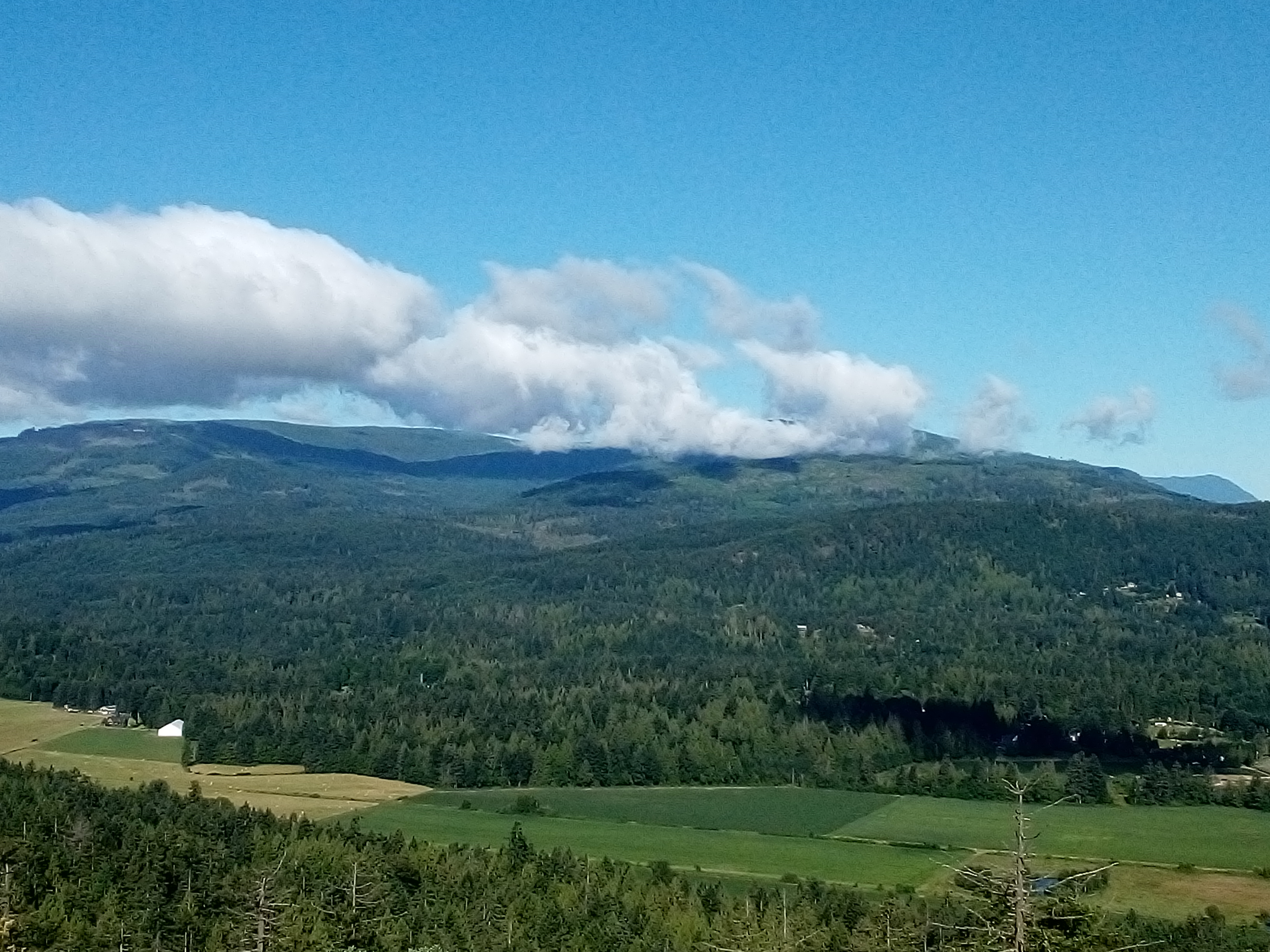 Picture B_20200628_090010